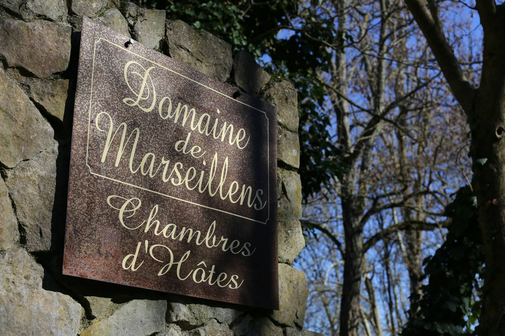 Domaine De Marseillens Palaja Exterior foto
